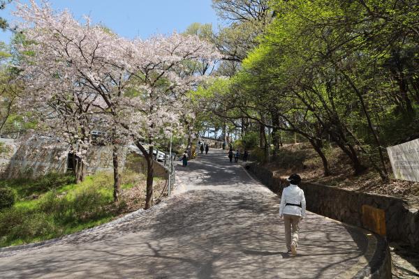 계절변화 의 사진23