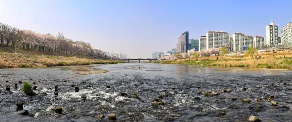 계절변화 의 사진30