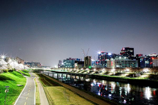 계절변화 의 사진34
