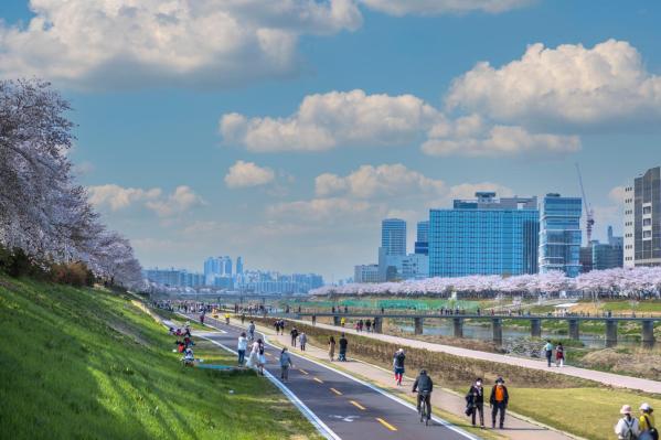 계절변화 의 사진36