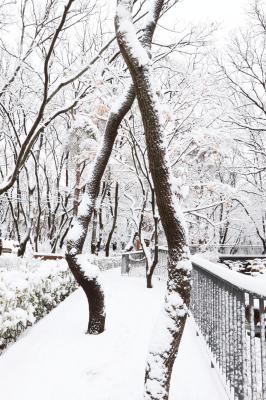 계절변화 의 사진42