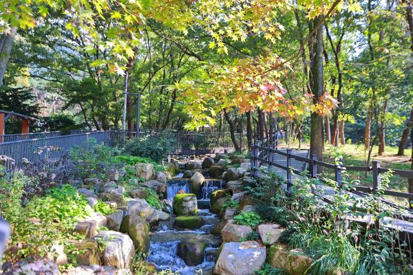 계절변화 의 사진43