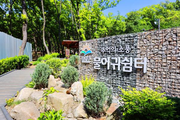 계절변화 의 사진47