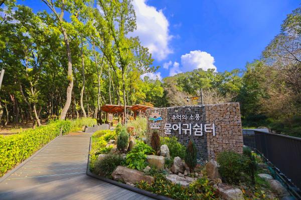 계절변화 의 사진49