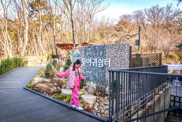 계절변화 의 사진50