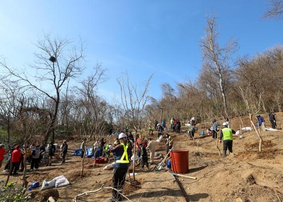 박미건강공원 준공식 및 제80회 식목일 나무심기 행사 의 사진75