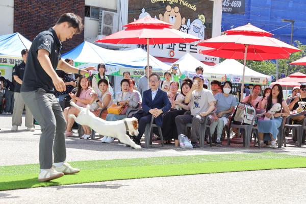 2025 반려동물 축제 _함께하개, 즐겨보냥_ 대표사진