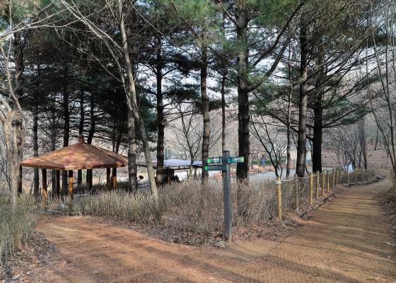 공원녹지분야 공사현장 현장점검 의 사진23