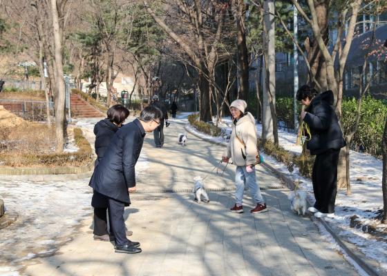 2026년 설 맞이 골목구청장의 동네한바퀴(시흥4동) 의 사진13