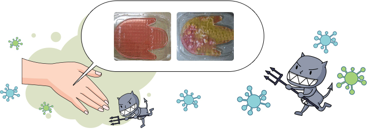 청결하지 못한 손에 존재하는 세균 확인 실험 결과 이미지