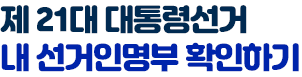 제21대 대통령선거 내 선거인명부 확인하기 선거투표 이미지