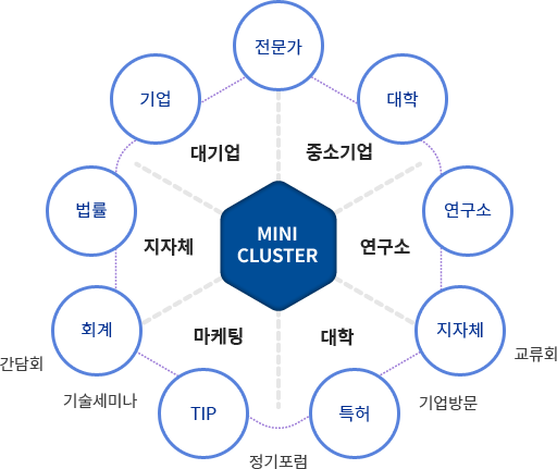 MINI CLUSER / 대기업, 중소기업, 연굿, 대학, 마케팅, 지자체 / 기업, 전문가, 대학, 연구소, 지자체, 특허, TIP, 회계, 법률 / 교류회(지자체), 기업방문(지자체 및 특허), 정기포럼(특허 및 TIP), 기술세미나(TIP 및 회계), 간담회(회계) 
