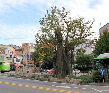 银杏树五岔路口 始兴行宫遗址1