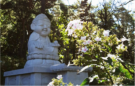 ホアプサ(虎圧寺) 写真3